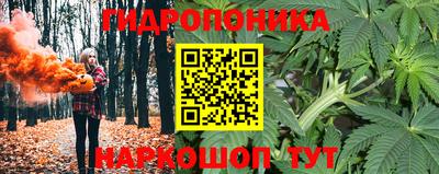 дживик Пушкино