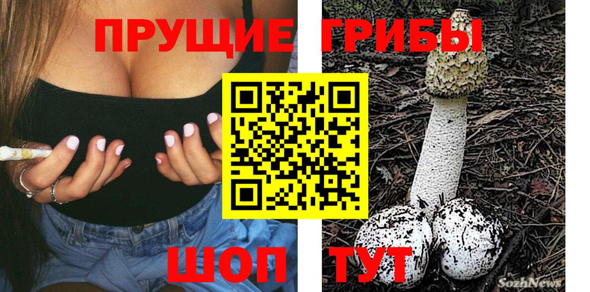 Галлюциногенные грибы Psilocybe  Псилоцибиновые грибы Magic Shrooms  Скопин  Вход с VPN 