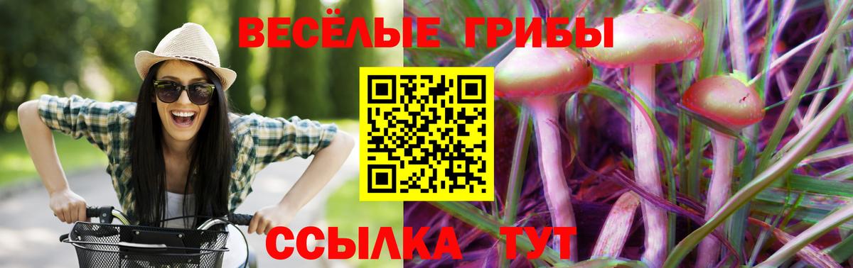 Псилоцибиновые грибы Psilocybine cubensis Скопин